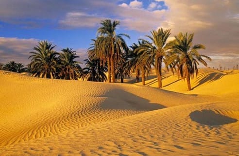 7 days egypt tour package